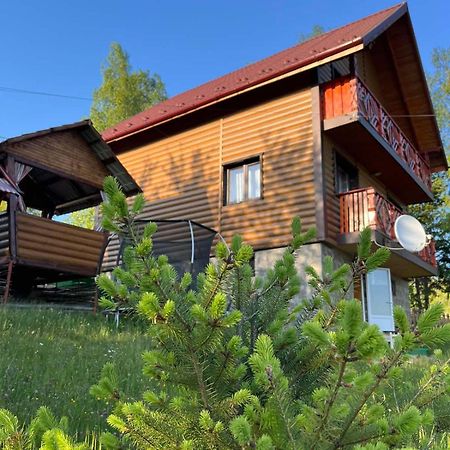 Сімейний Котедж Краєвид Mykulychyn Bagian luar foto