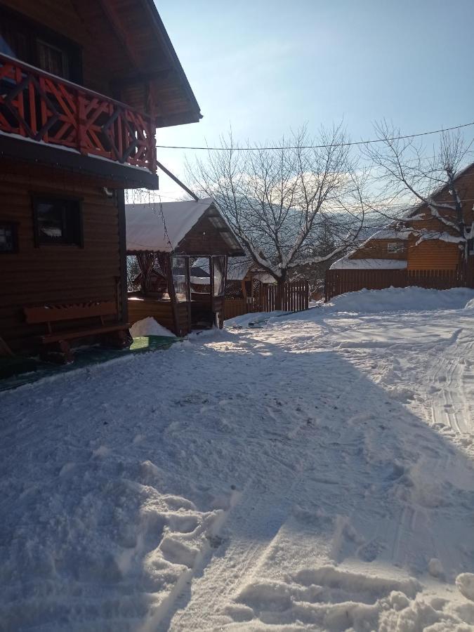 Сімейний Котедж Краєвид Mykulychyn Bagian luar foto