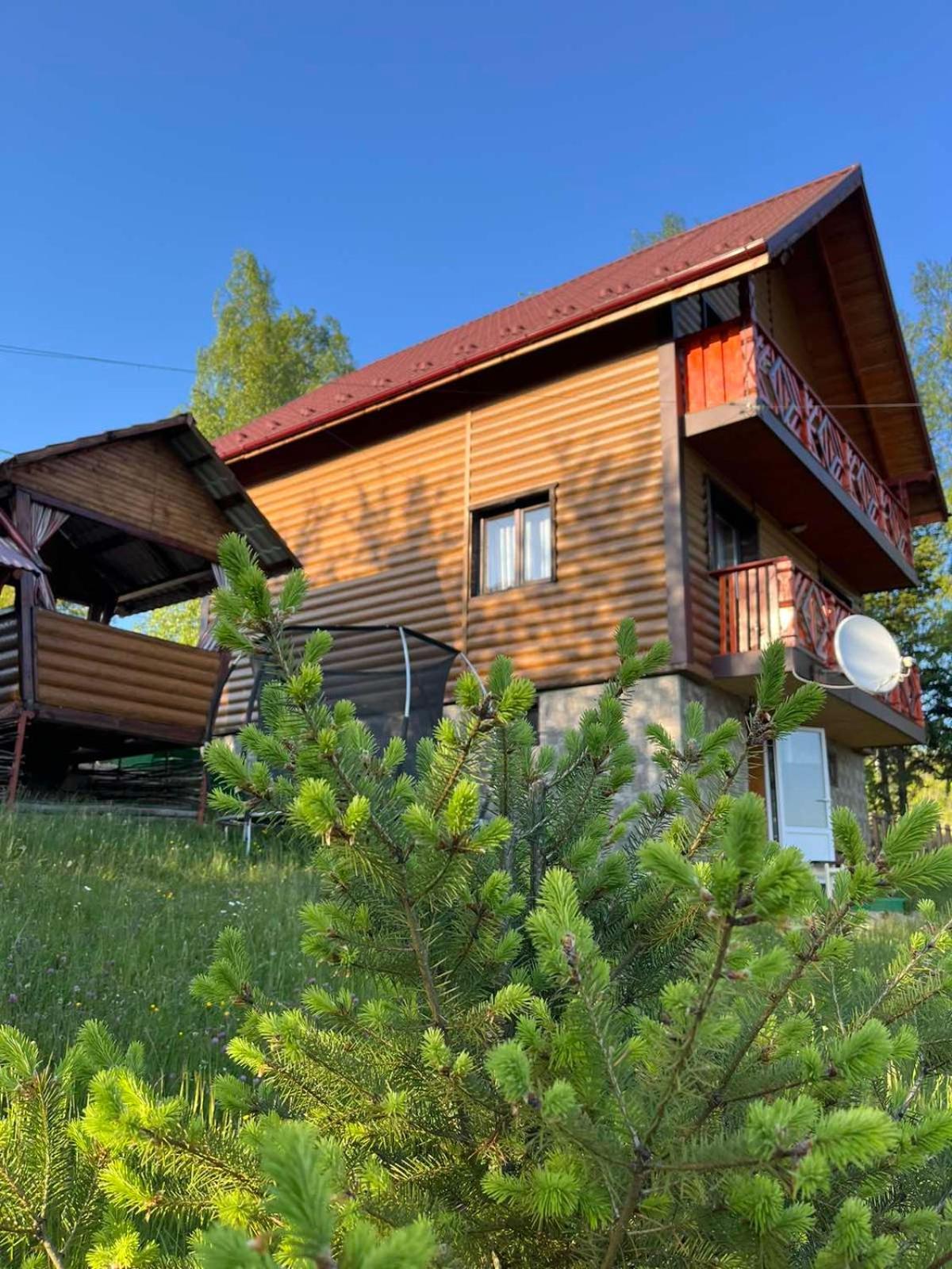 Сімейний Котедж Краєвид Mykulychyn Bagian luar foto