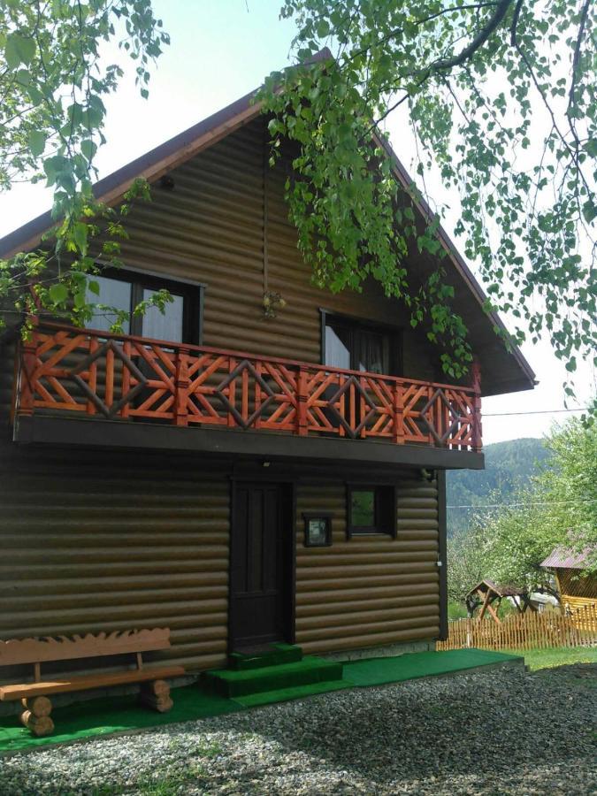 Сімейний Котедж Краєвид Mykulychyn Bagian luar foto