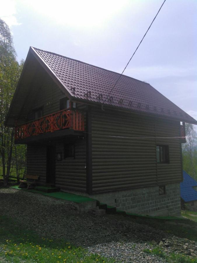 Сімейний Котедж Краєвид Mykulychyn Bagian luar foto